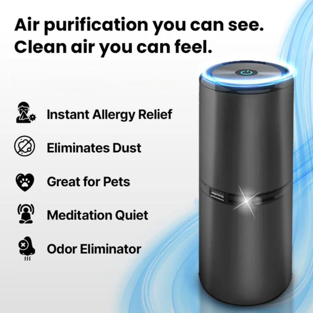 # 1 Ionic Air Purifier In The Market