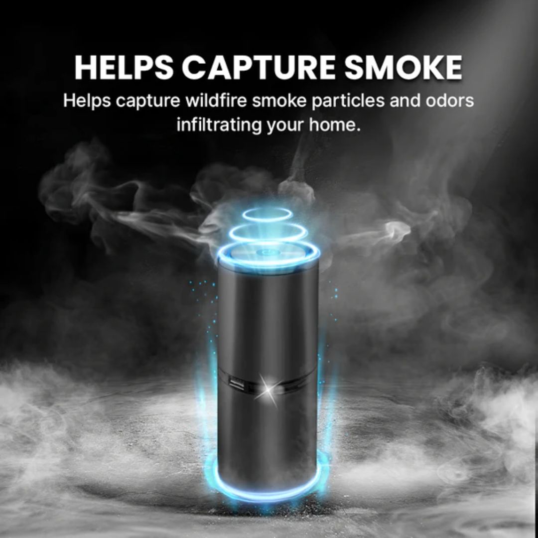 # 1 Ionic Air Purifier In The Market