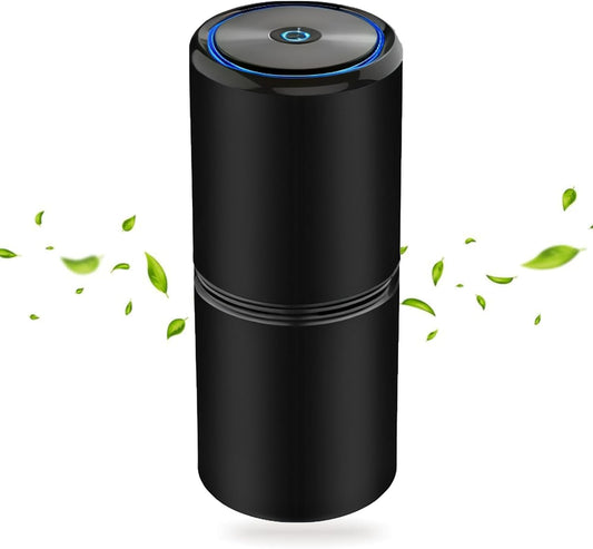 # 1 Ionic Air Purifier In The Market