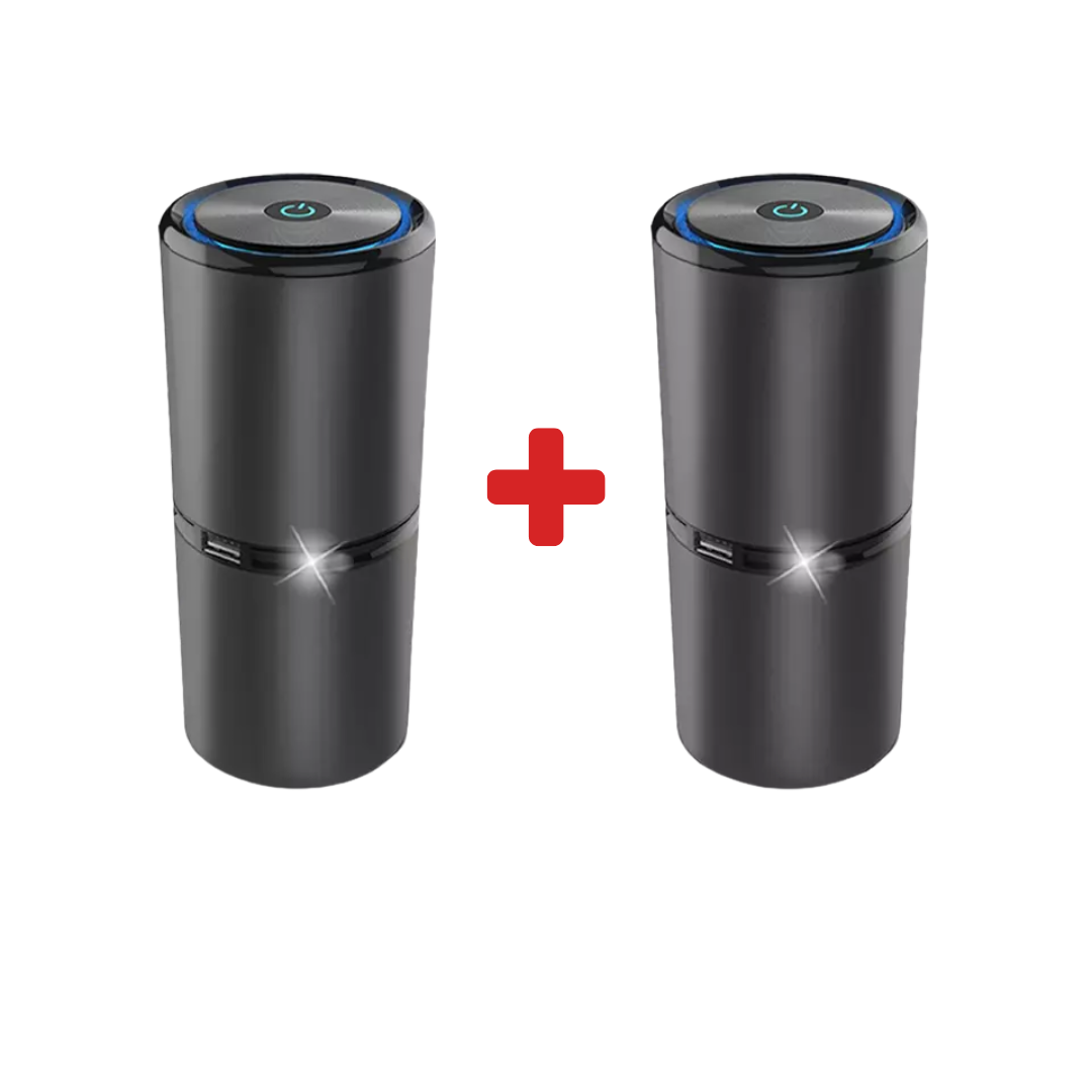 # 1 Ionic Air Purifier In The Market
