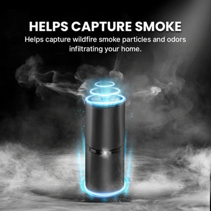 # 1 Ionic Air Purifier In The Market