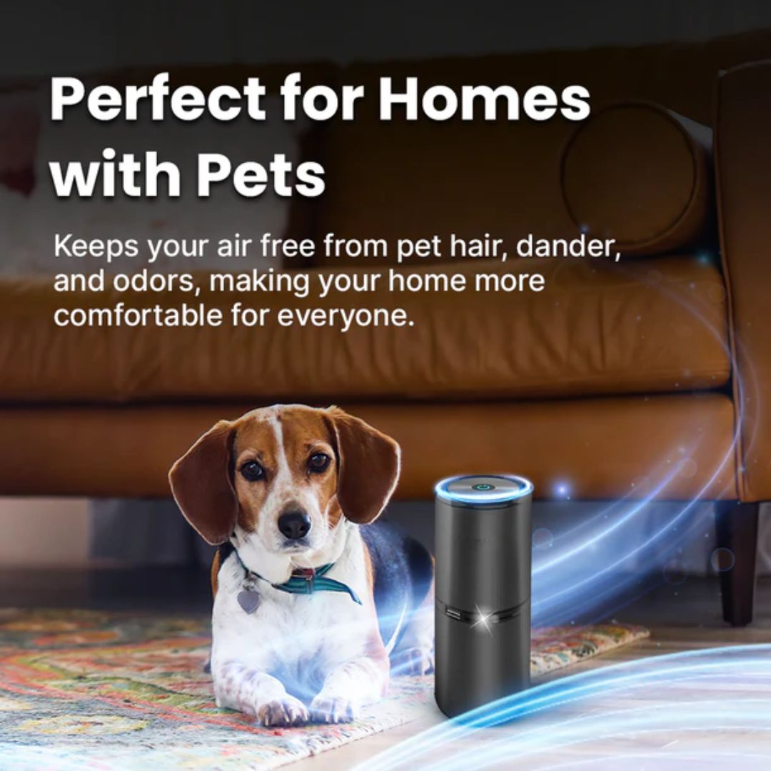 # 1 Ionic Air Purifier In The Market